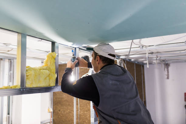 Best Spray Foam Insulation in Des Allemands, LA