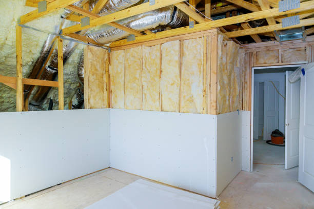 Best Eco-Friendly Insulation in Des Allemands, LA