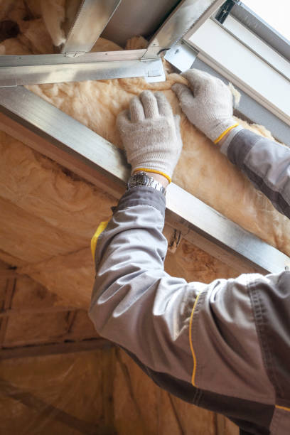 Best Residential Insulation in Des Allemands, LA