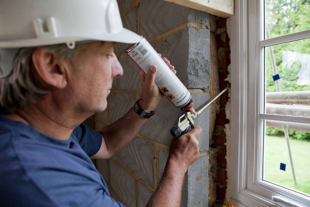 Best Cellulose Insulation in Des Allemands, LA