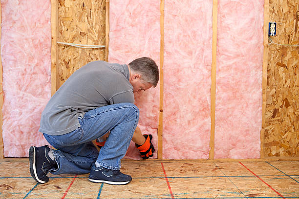 Best Specialized Insulation Services in Des Allemands, LA
