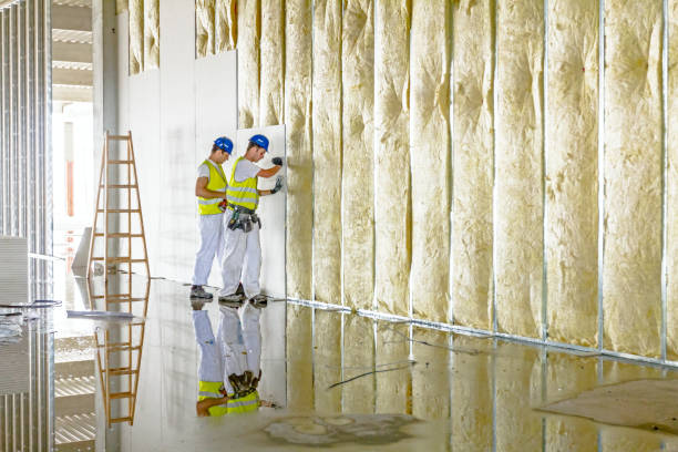 Best Blown-in Insulation in Des Allemands, LA
